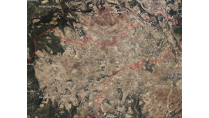 PAMUKKALE KURTLUCA'DA EV-AYVA AĞACI BULUNAN  SATILIK TARLA