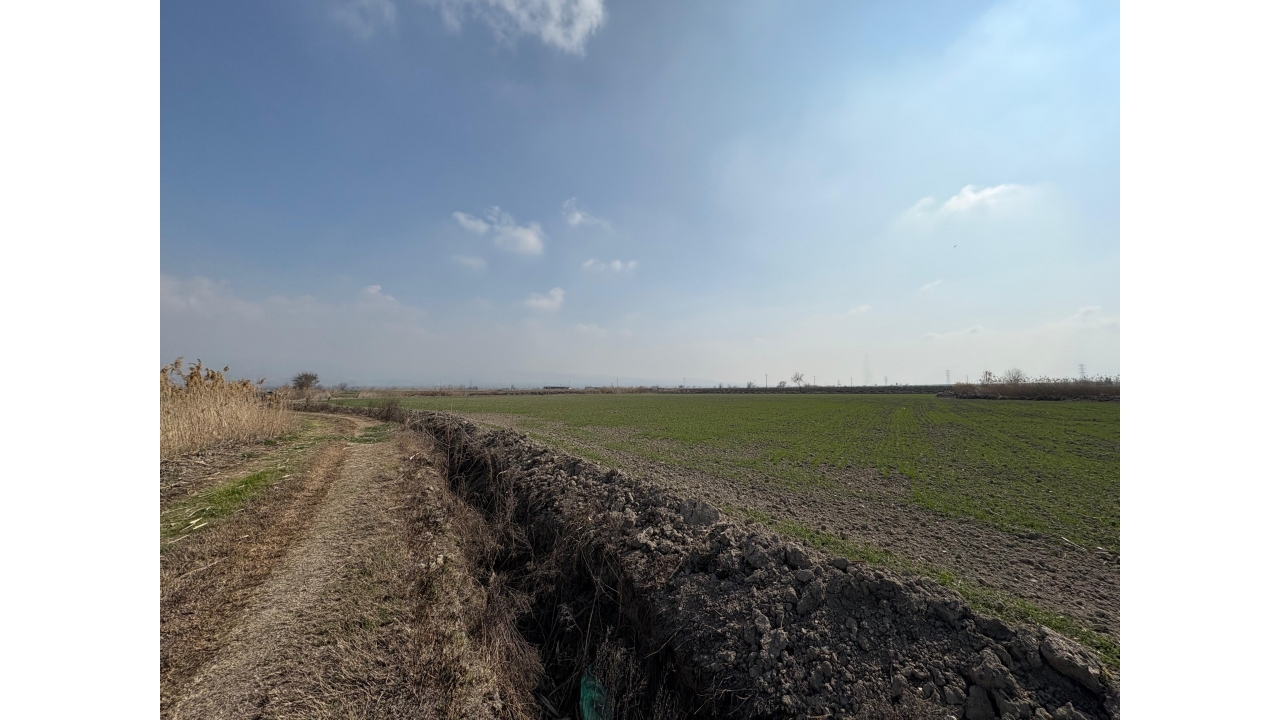 KORUCUK'DA 24,900 M² SATILIK FIRSAT TARLA