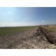 KORUCUK'DA 24,900 M² SATILIK FIRSAT TARLA