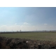 KORUCUK'DA 24,900 M² SATILIK FIRSAT TARLA