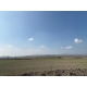 KORUCUK'DA 24,900 M² SATILIK FIRSAT TARLA